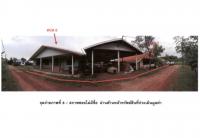 ขายที่ดินพร้อมสิ่งปลูกสร้าง เมืองศรีไค วารินชำราบ อุบลราชธานี ขนาด 0-1-62 ของ ธนาคารออมสิน