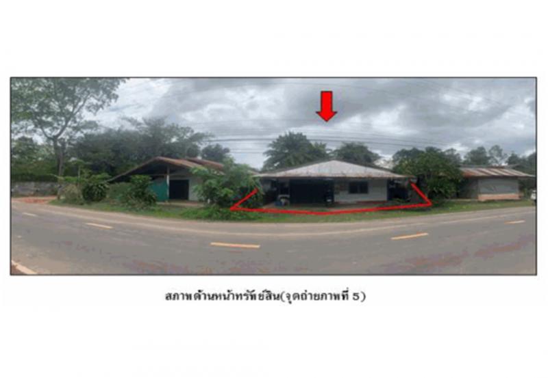 ขี้เหล็ก น้ำขุ่น อุบลราชธานี - น้ำขุ่น อุบลราชธานี