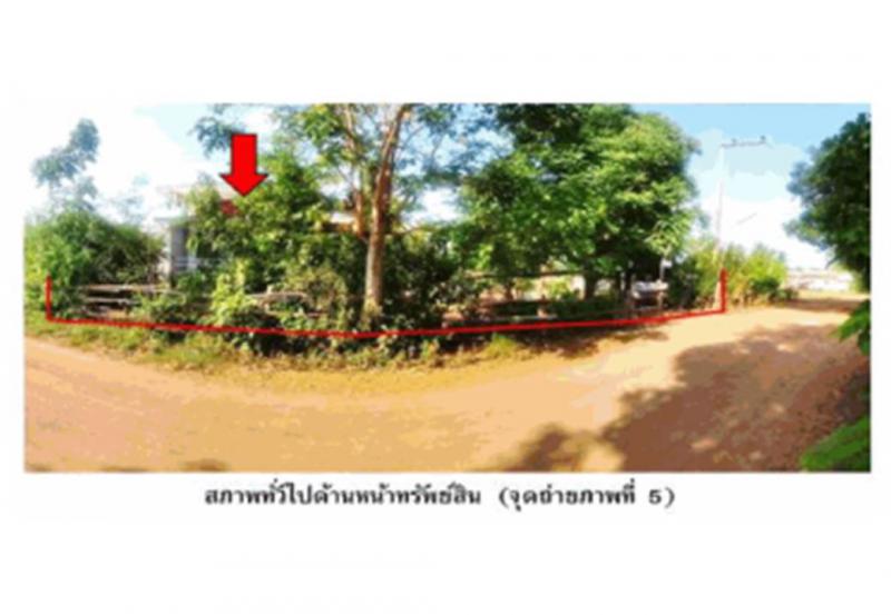 เก่าขาม น้ำยืน อุบลราชธานี
