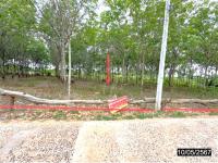 ขายที่ดินว่างเปล่า