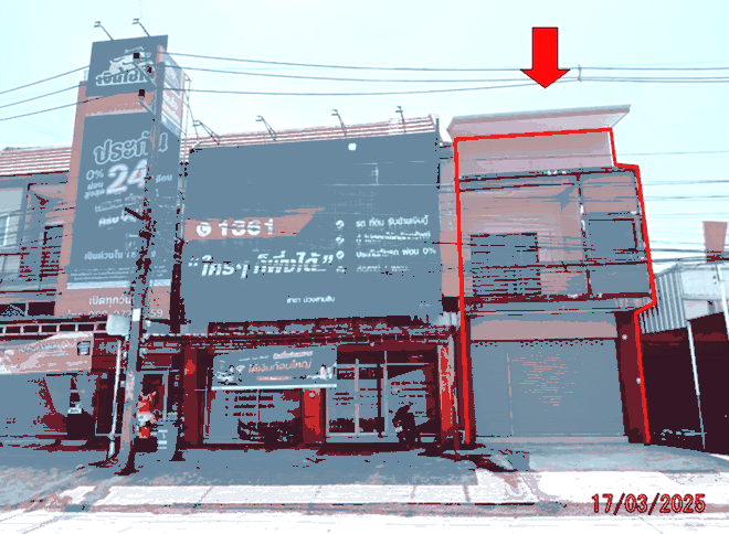 ม่วงสามสิบ ม่วงสามสิบ อุบลราชธานี